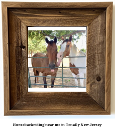 horseback riding near me in Tenafly, New Jersey